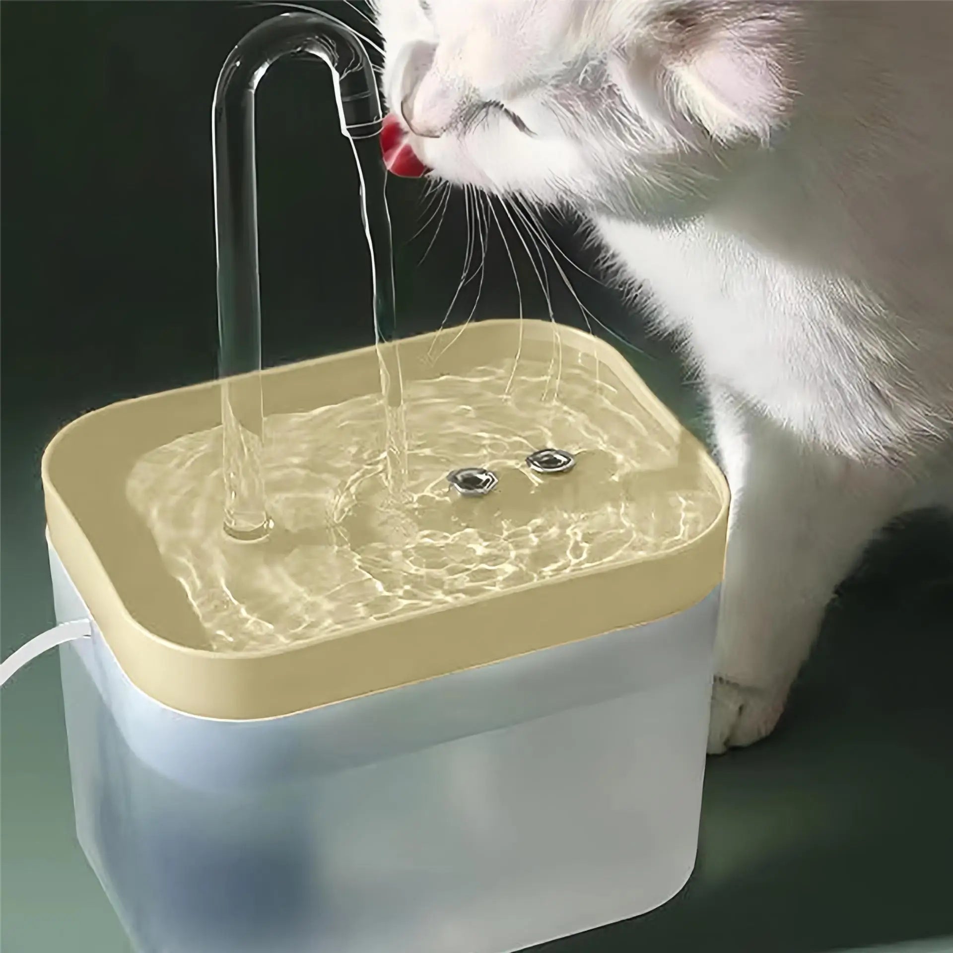 S3b1de16b4a48413b8b1e790529249d3ct